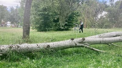 Cyclist, 72, dies on Black Mountain Peninsula