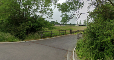 20 holiday lodges could be created on Nottinghamshire golf course