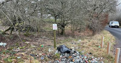 Disgusted Lanarkshire dog walker blasts trashed beauty spot after pup eats human faeces