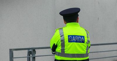 Major Dublin road closed after man struck by car