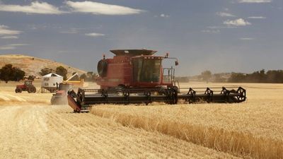 Ukraine's harvest is under threat amid fears of Russian invasion. Can Australia fill the gap?