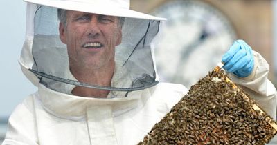 Dancing On Ice's Bez is a 'self-confessed honey monster' and charges fans £85 to chat about bees