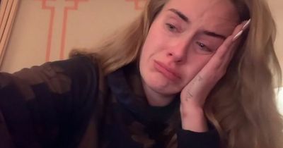 Adele branded a 'diva' 'after tearfully cancelling her longed-for Las Vegas shows