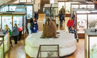 Poem of the week: Please Do Not Touch the Walrus … by Caleb Parkin