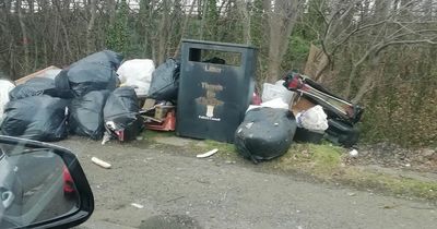 Fly-tippers blasted as pile of rubbish dumped by Falkirk roadside