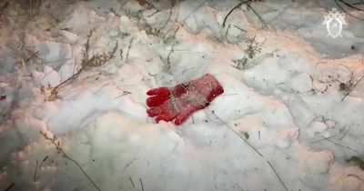 Girl, 7, mauled to death by pack of stray dogs as she walks home from music lesson