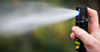 Lanarkshire grandfather could be tagged over illegal spray