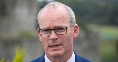 Russian military exercises off Ireland's coast are 'not welcome' says Simon Coveney