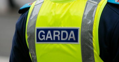 Two men arrested after fire services had to extinguish a blaze outside a home in Co Carlow