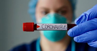 Scottish Government announces no deaths and 6,934 covid cases in last 24 hours