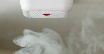 Smoke alarm warning as homeowners issued advice on Scotland's changes next week