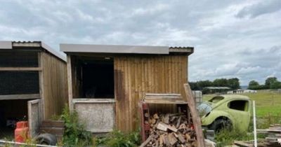 Farmer could be ordered to remove caravan, shipping container, sheds and half a car from his farm by council
