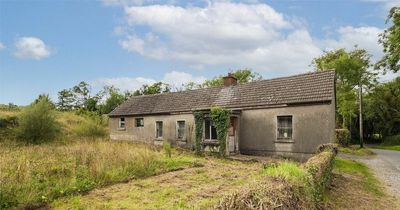 Dublin Fixer-Uppers: 5 of the best property projects to get stuck into