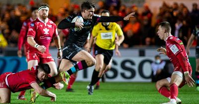Bristol Bears served up some champagne rugby in what was their best performance of the season