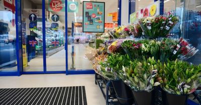 Lidl and B&Q have accidentally been selling plants worth £4,000 for £10