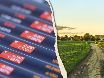 Why A Real Crypto Crash Is Precisely What Everyone Should Be Hoping For In 2022