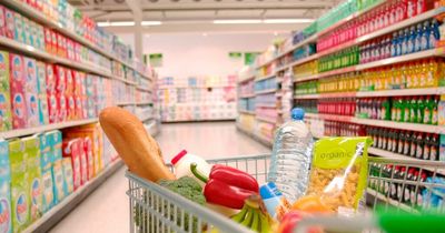 Supermarket prices: Irish households may have to spend up to €780 more in 2022 as bread, milk and more gets more expensive