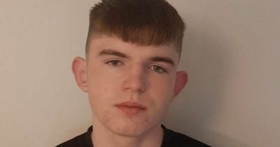 Gardai ask for help in tracing missing Donegal teenager known to frequent Dublin