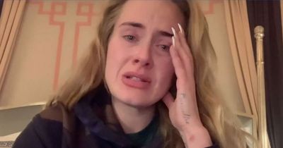 Adele 'cancelled highly-anticipated Las Vegas residency due to pool stunt design'