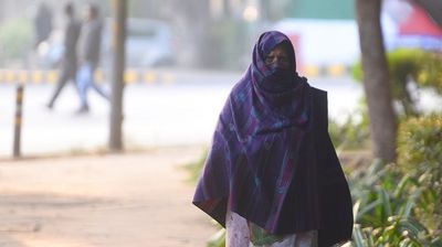 Weather Update: Rajasthan in grip of cold wave