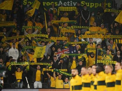Stadium Australia to host Roos' Japan WCQ