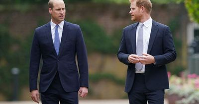 Prince Harry's bold outburst after Prince William said he 'didn't want to be king'