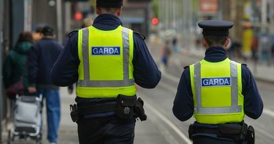 Man discovered in trailer at a Dublin post centre arrested for 'alleged immigration offence'