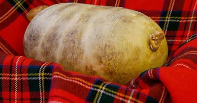 What is Burns Night and how is it celebrated in Scotland? Old traditions and favoured poems
