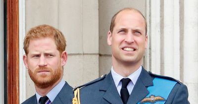 Prince Harry's outburst after Prince William confessed he 'didn't want to be king'