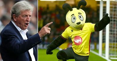 Roy Hodgson and Watford nemesis Harry The Hornet team up after infamous 'diving' sting