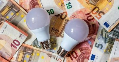 Social Welfare Ireland: Free €100 electricity payment details plus group that qualify twice