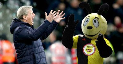 Roy Hodgson facing awkward Watford showdown after once blasting mascot "disgraceful"