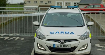 Gardai probe allegations two teenage girls were sexually assaulted twice by the same men