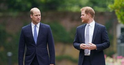 Prince Harry's cheeky outburst after Prince William said he 'didn't want to be king'