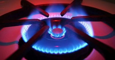 21 energy suppliers ranked for customer service - see where yours is on the list