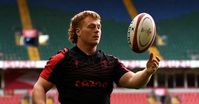 Dragons announce signing of Wales hooker Bradley Roberts