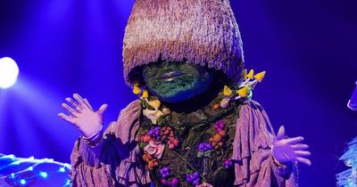 Masked Singer fans convinced Homes Under the Hammer star is Mushroom after cheeky hint