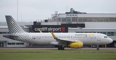 Airline Vueling increasing flights on its Cardiff to Paris route