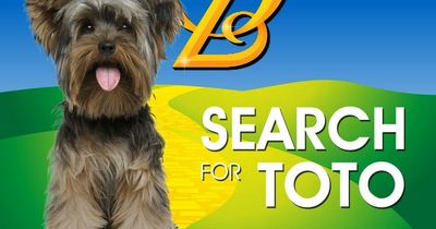 NI theatre looking for four-legged star for their production of The Wizard of Oz