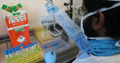 Scottish Government announces 23 deaths and 8,022 covid cases in last 24 hours