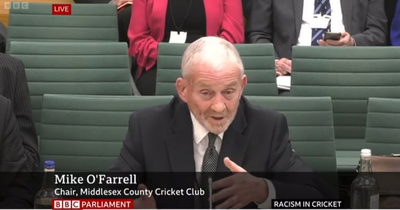 Middlesex chief facing backlash after claiming black people prefer football to cricket