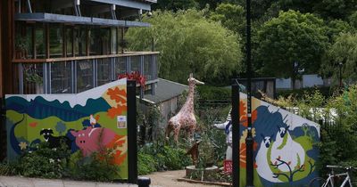 Exclusion zone introduced in Newcastle after bird flu outbreak at Ouseburn Farm