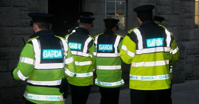 Undercover Gardai targeting 'gross criminality' on Dublin Bus, Luas and DART