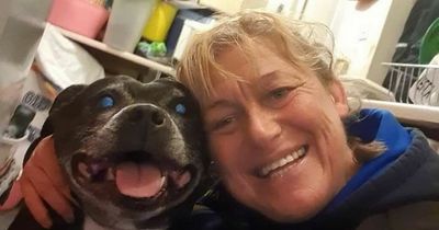 Leeds rescue dog becomes internet sensation for adorable friendship with binmen