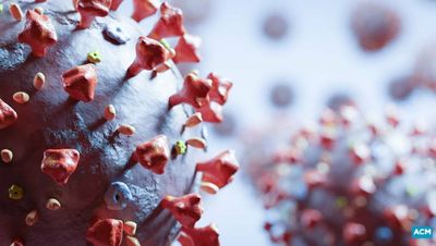 ICU numbers climb as region's RAT results revealed