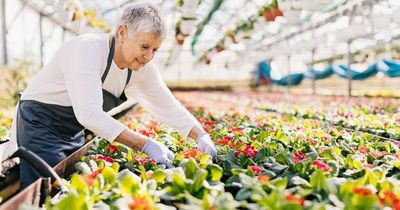 Full State Pension during retirement means you need to work this number of years