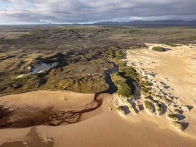 Aboriginal carving damage claim probed