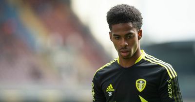 Crysencio Summerville will need to buck Leeds United trend if he joins Hamburg on loan