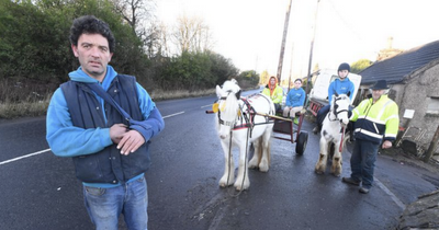 Dad injured and kids 'traumatised' after terrifying ordeal with lorry driver and family horses