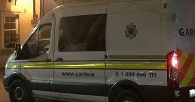 Appeal for missing puppy after gang storm house and stab teen multiple times in Cork city